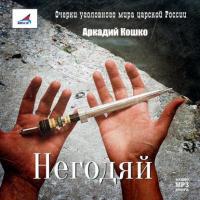 Негодяй, audiobook Аркадия Кошко. ISDN9529289