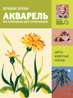 Лучшие уроки. Акварель без карандаша для начинающих - Натали Котова