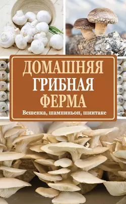 Домашняя грибная ферма. Вешенка, шампиньон, шиитаке - Нина Богданова