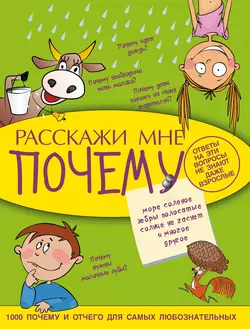 Расскажи мне почему - Андрей Мерников